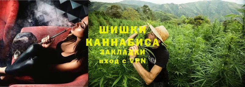 Каннабис SATIVA & INDICA  Пучеж 